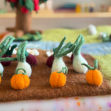 Farm Play Mat