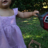 Farm Play Set
