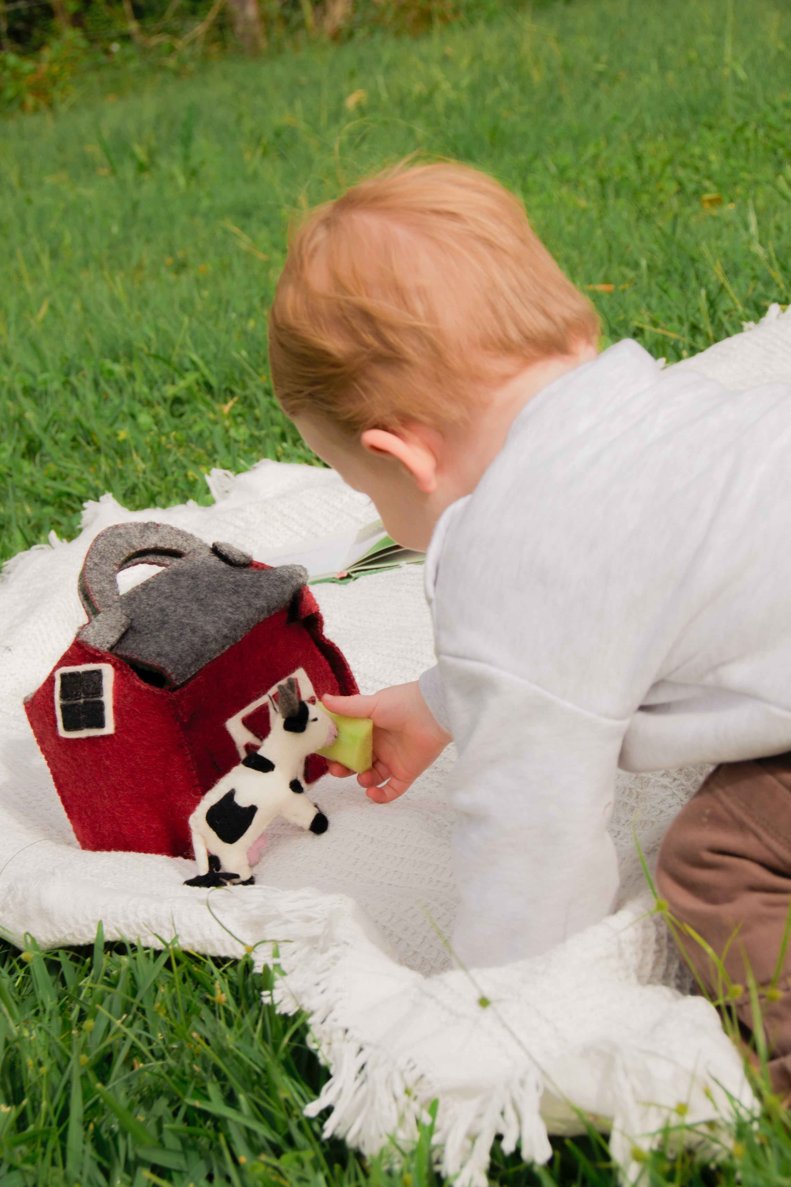 Farm Play Set