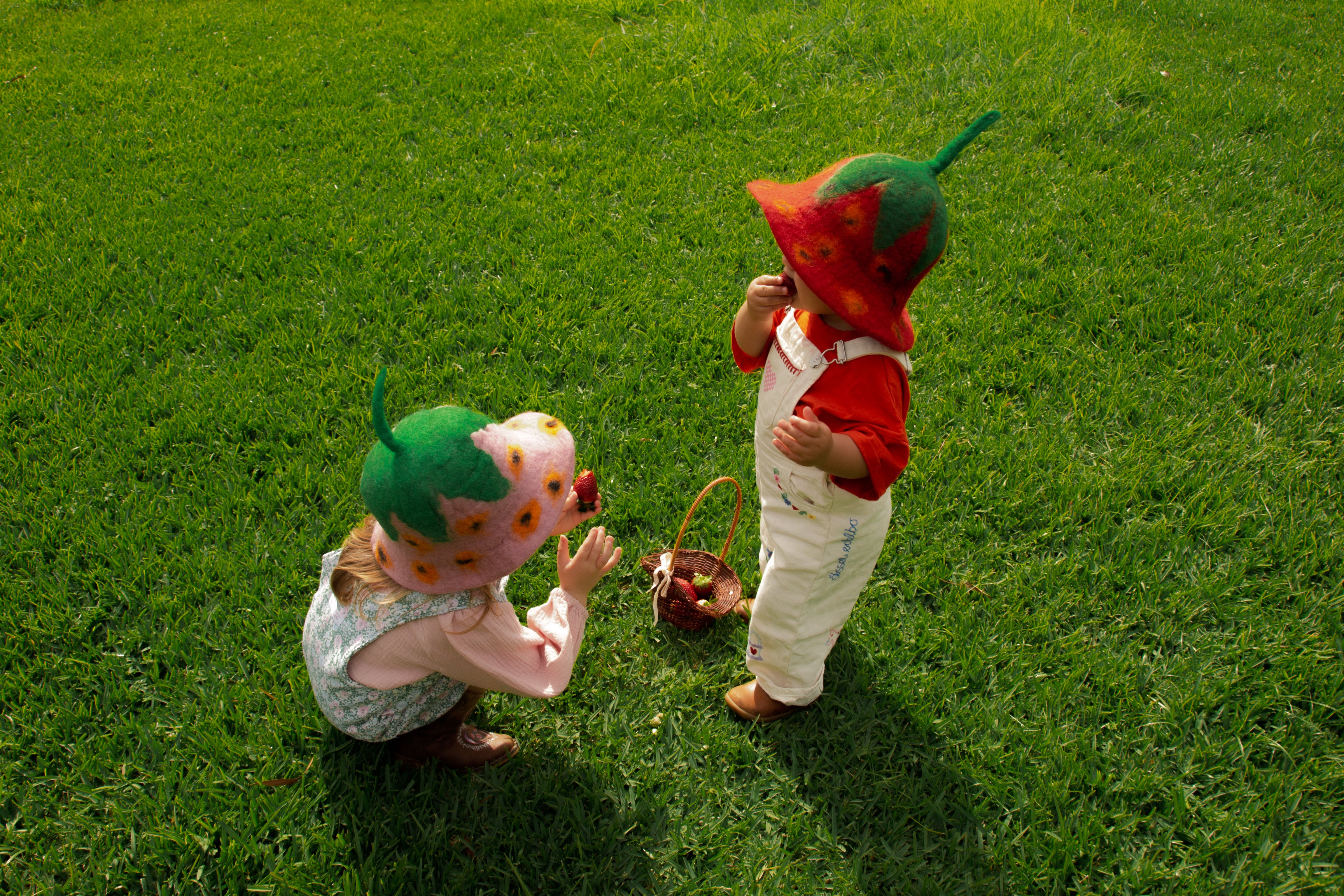 Two children in caterpillar and strawberry costumes playing on grass